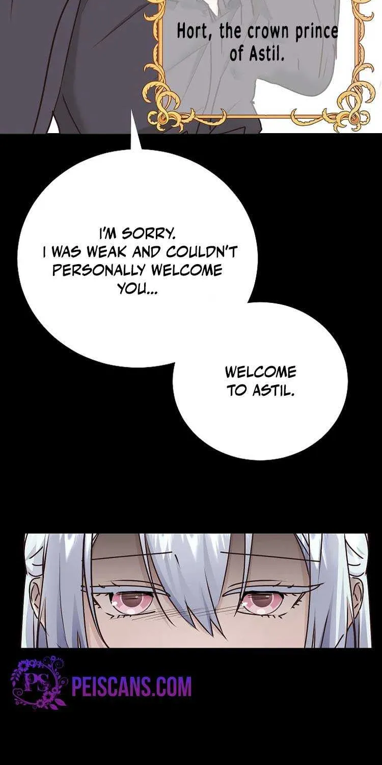 Husband Replacement Chapter 18 page 23 - 