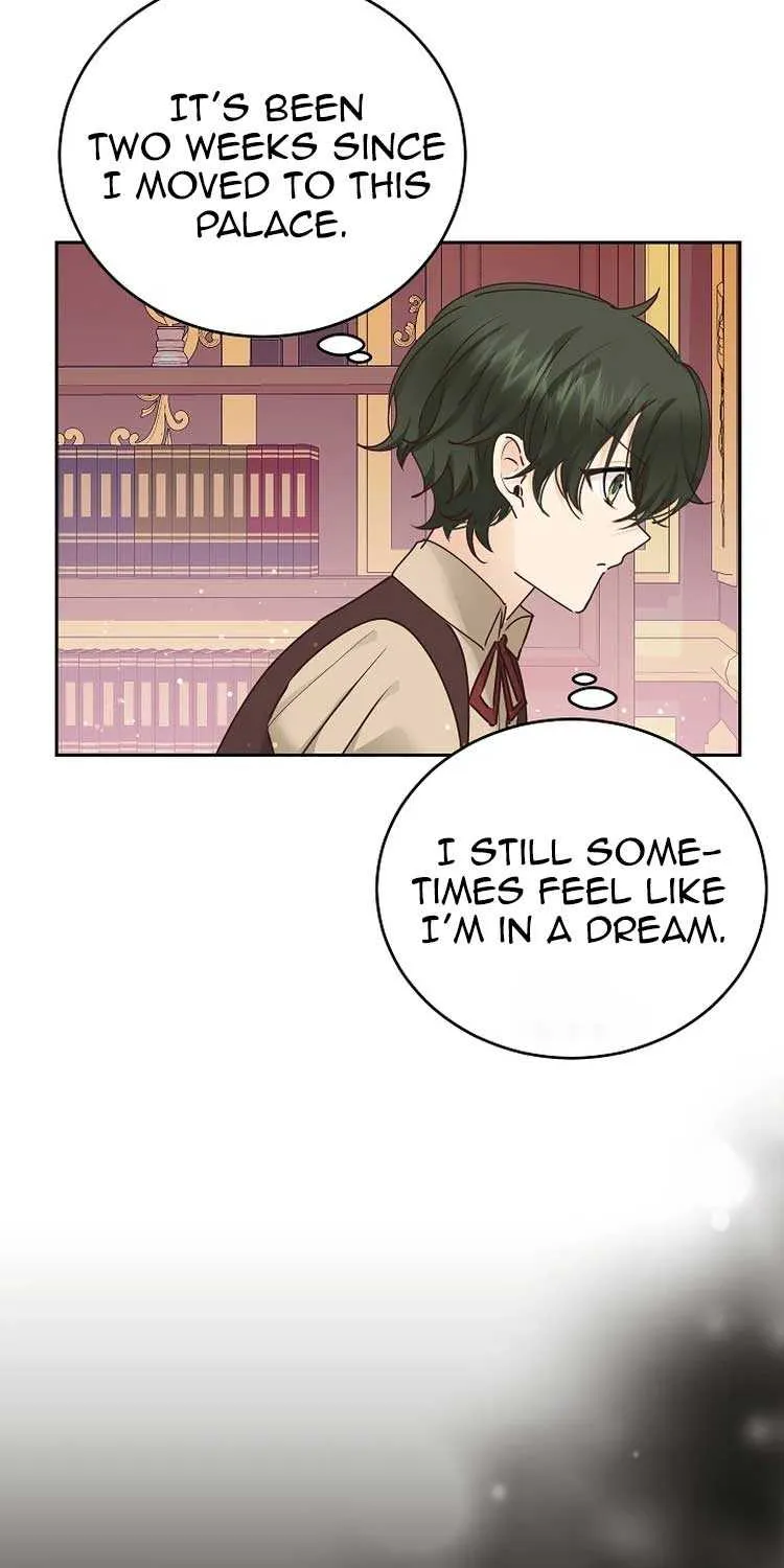 Husband Replacement Chapter 20 page 3 - 