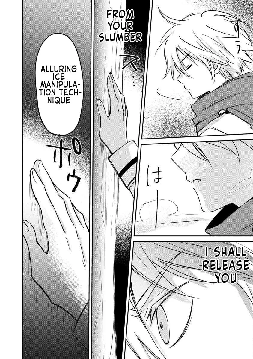 Hyouketsukei Koso Saikyou desu! - Chiisakute Kawaii Shishou to Kekkon suru Tame ni Saikyou no Majutsushi wo Mezashimasu Chapter 2 page 26 - 