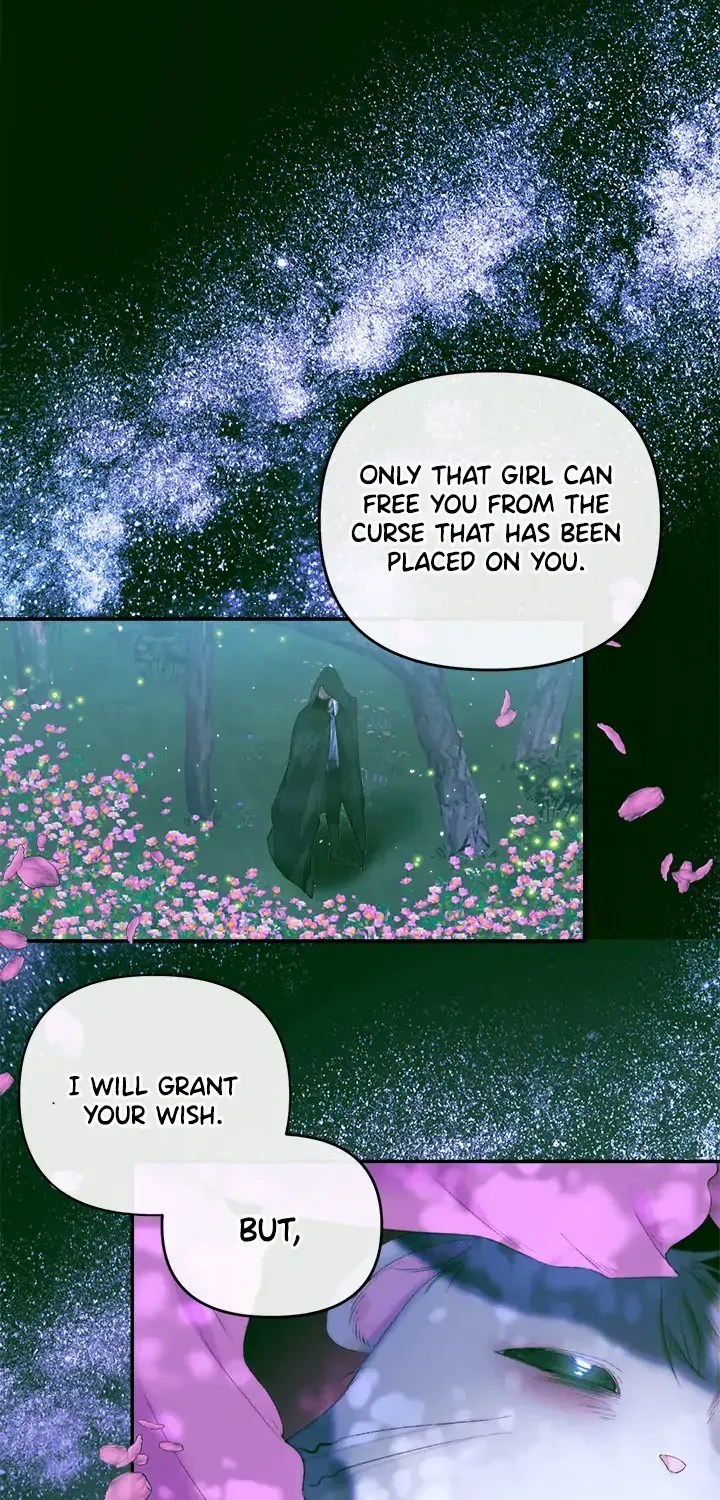 I, A Harvest Mouse, Will Take Cinderella Away Chapter 0 page 38 - 