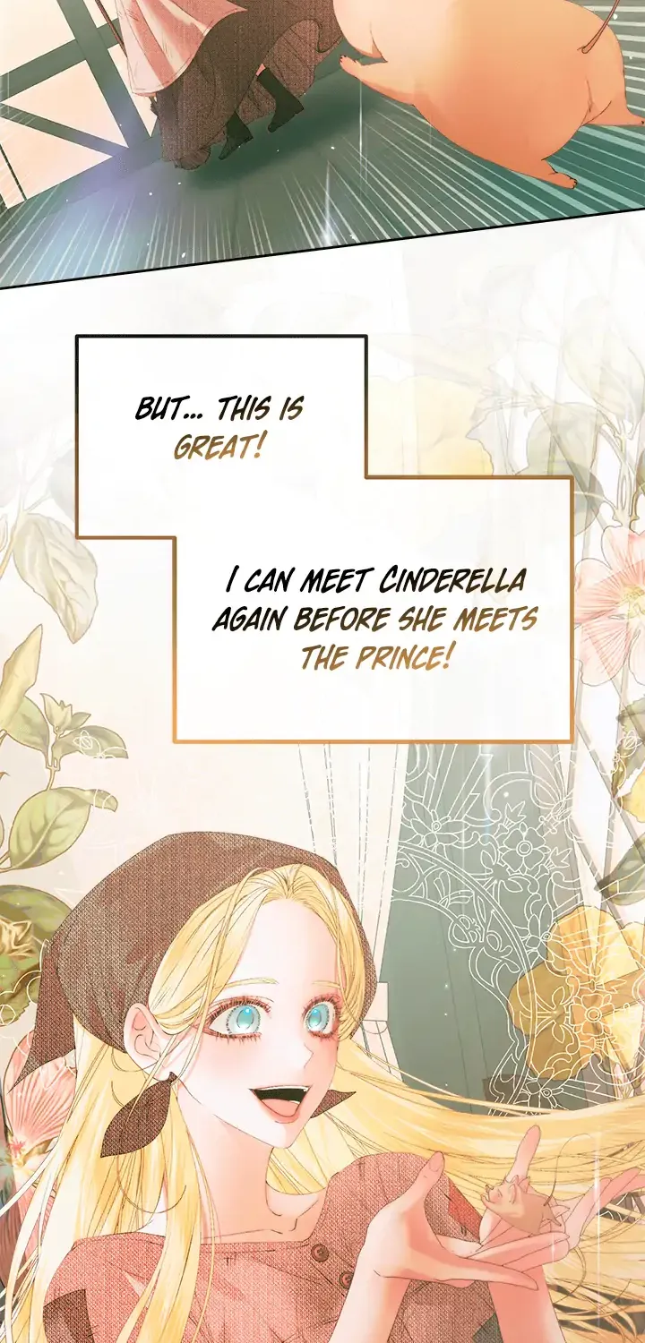 I, A Harvest Mouse, Will Take Cinderella Away Chapter 0 page 44 - 