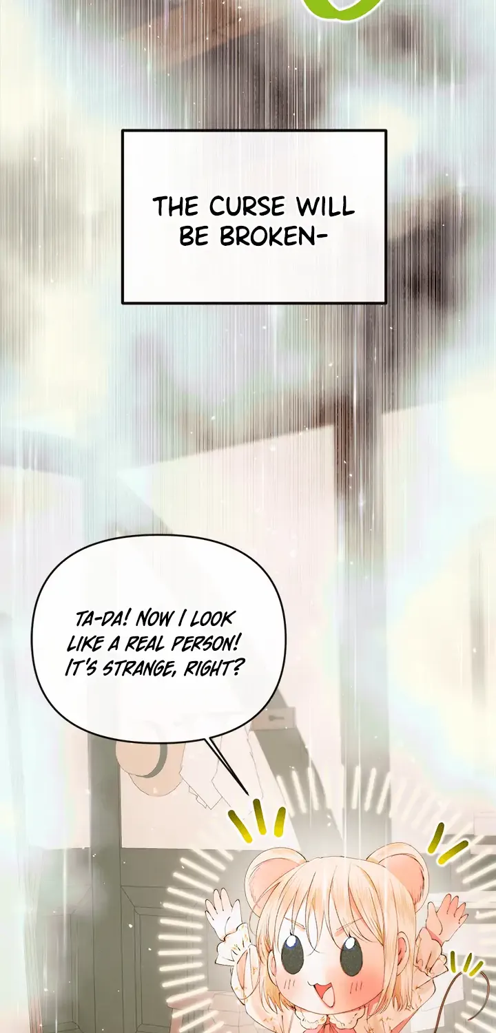 I, A Harvest Mouse, Will Take Cinderella Away Chapter 0 page 48 - 