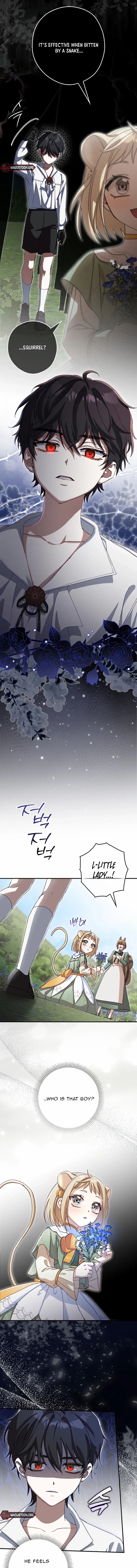 I, A Harvest Mouse, Will Take Cinderella Away Chapter 13 page 11 - 