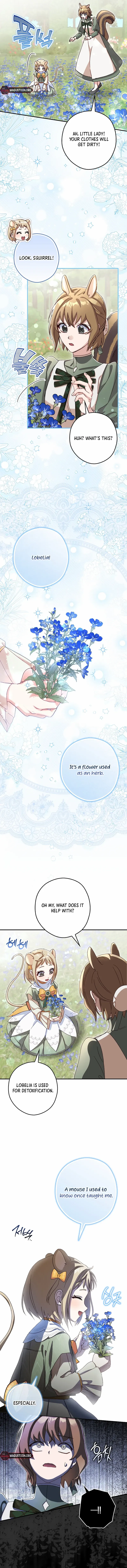 I, A Harvest Mouse, Will Take Cinderella Away Chapter 13 page 10 - 