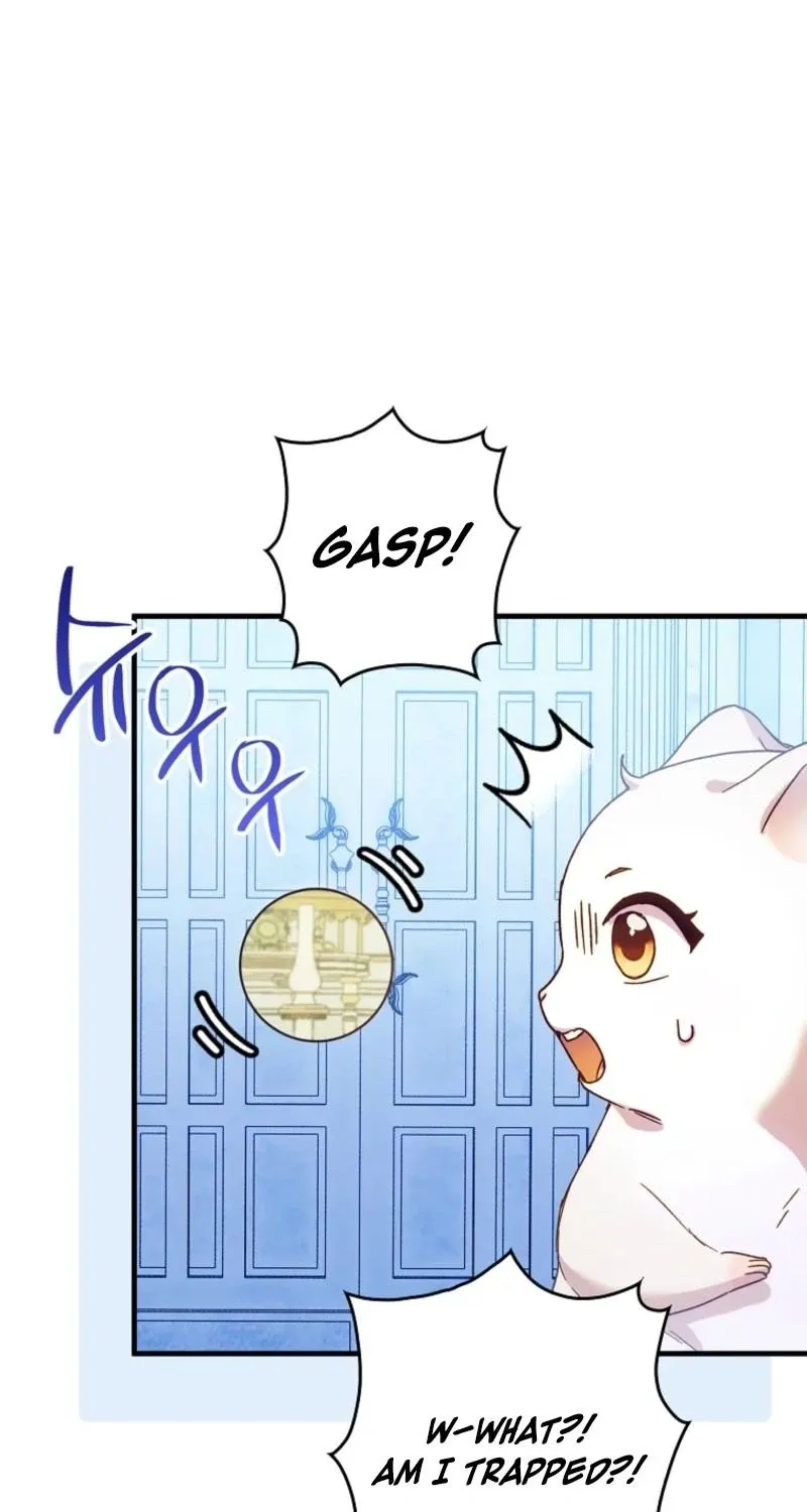I, A Harvest Mouse, Will Take Cinderella Away Chapter 25 page 11 - 