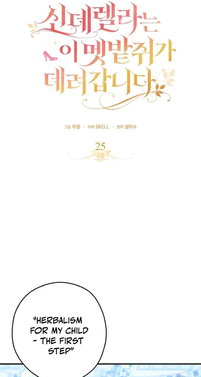 I, A Harvest Mouse, Will Take Cinderella Away Chapter 25 page 35 - 