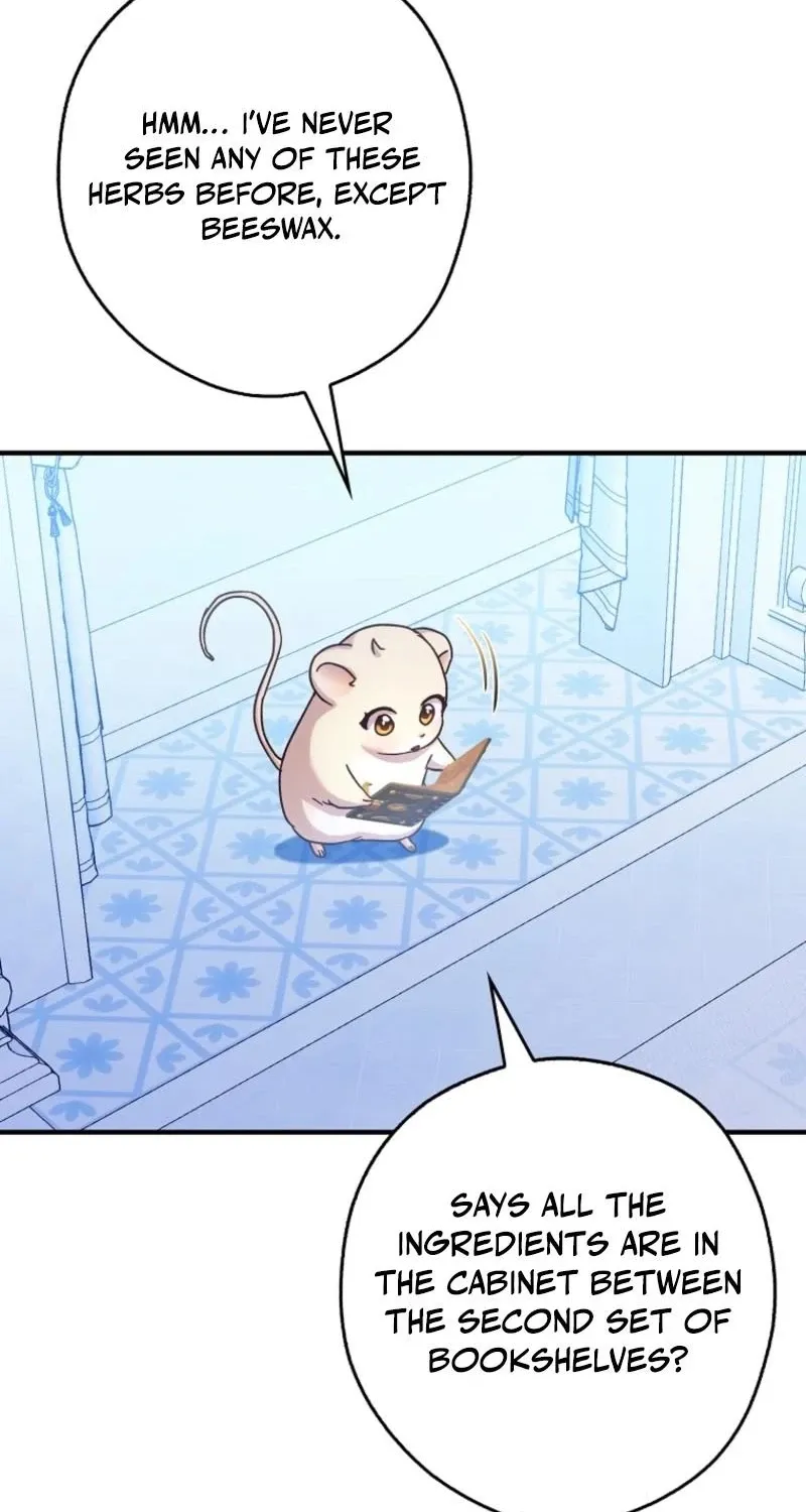 I, A Harvest Mouse, Will Take Cinderella Away Chapter 25 page 50 - 