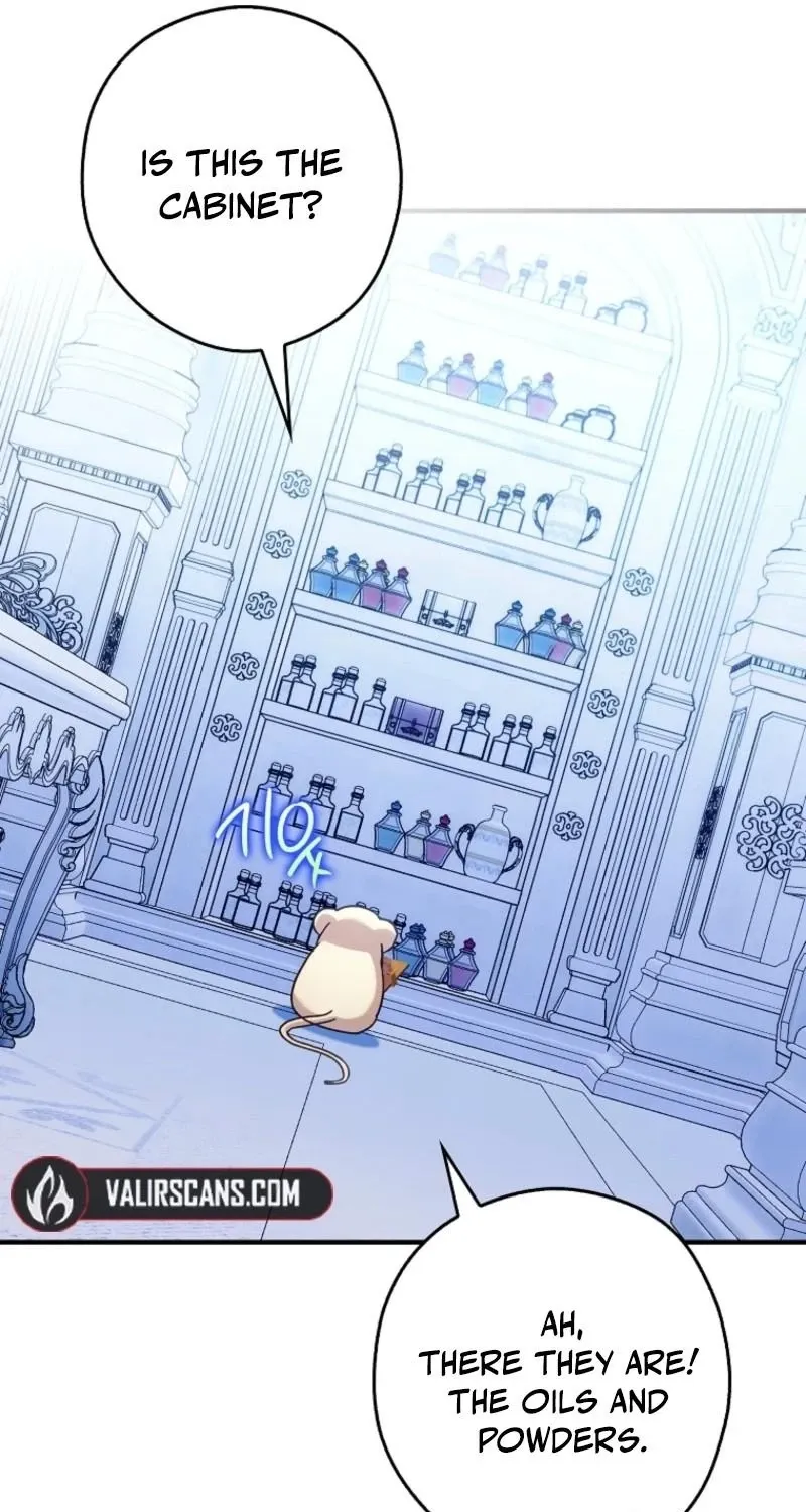 I, A Harvest Mouse, Will Take Cinderella Away Chapter 25 page 52 - 