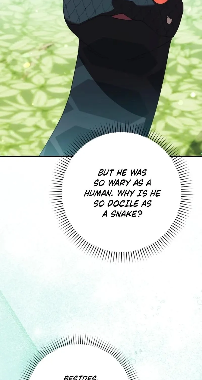 I, A Harvest Mouse, Will Take Cinderella Away Chapter 26 page 41 - 