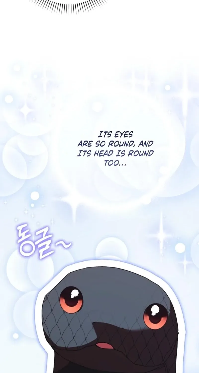 I, A Harvest Mouse, Will Take Cinderella Away Chapter 26 page 53 - 