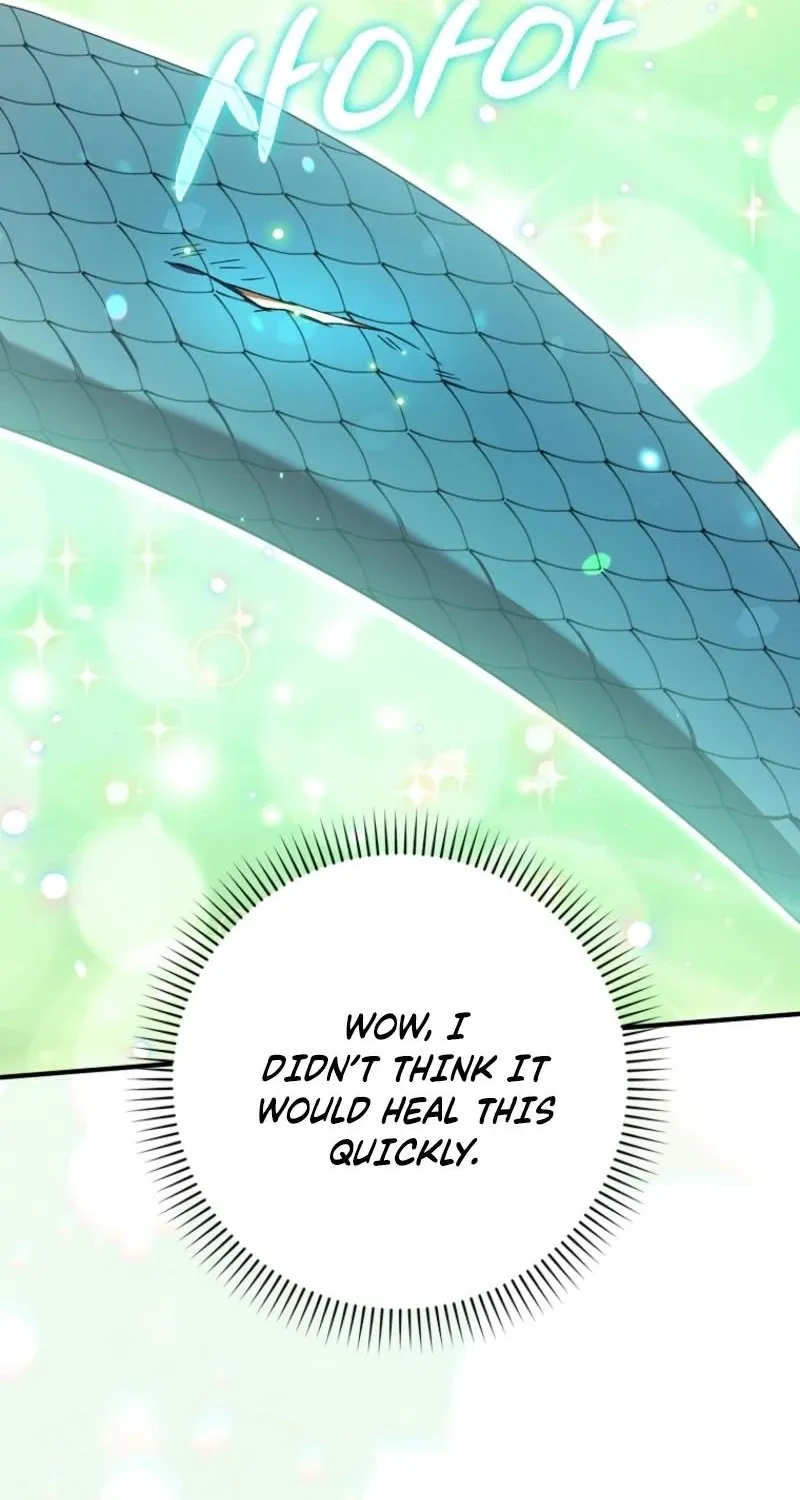 I, A Harvest Mouse, Will Take Cinderella Away Chapter 26 page 68 - 