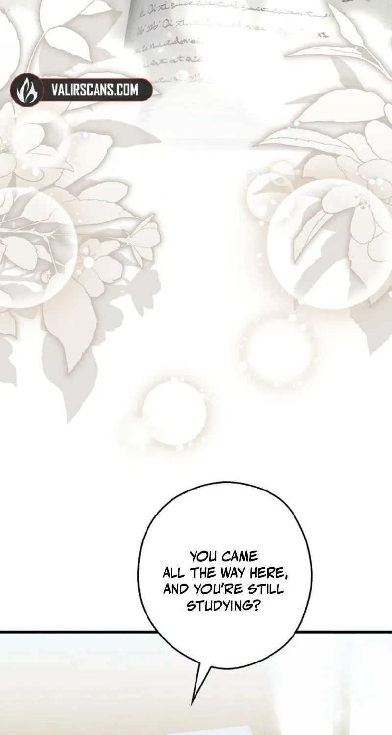I, A Harvest Mouse, Will Take Cinderella Away Chapter 34 page 42 - 