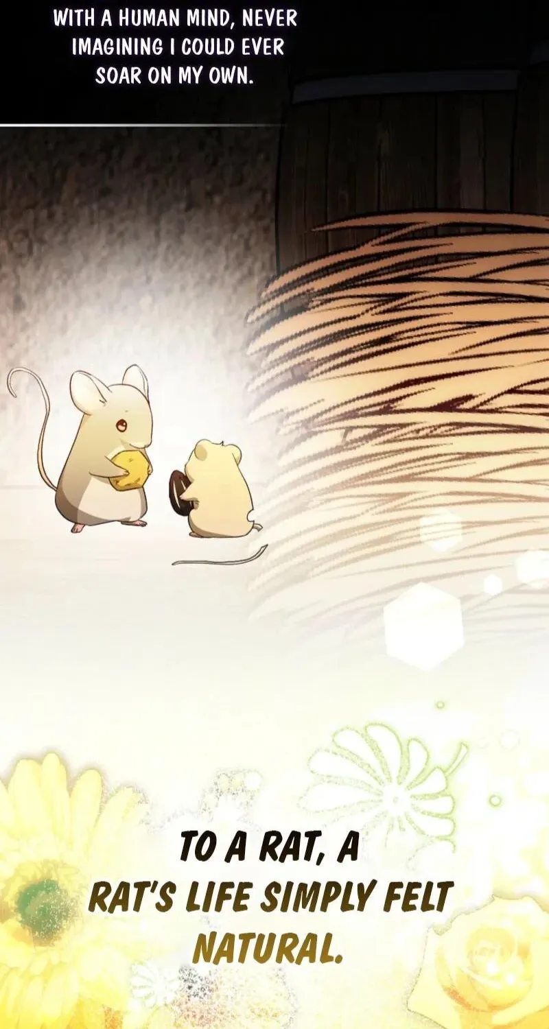 I, A Harvest Mouse, Will Take Cinderella Away Chapter 37 page 85 - 