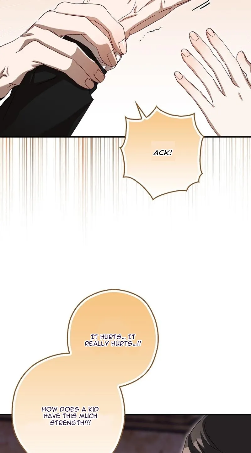 I, A Harvest Mouse, Will Take Cinderella Away Chapter 4 page 37 - 