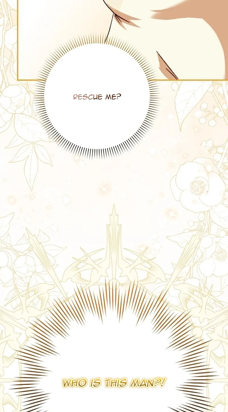 I, A Harvest Mouse, Will Take Cinderella Away Chapter 4 page 78 - 
