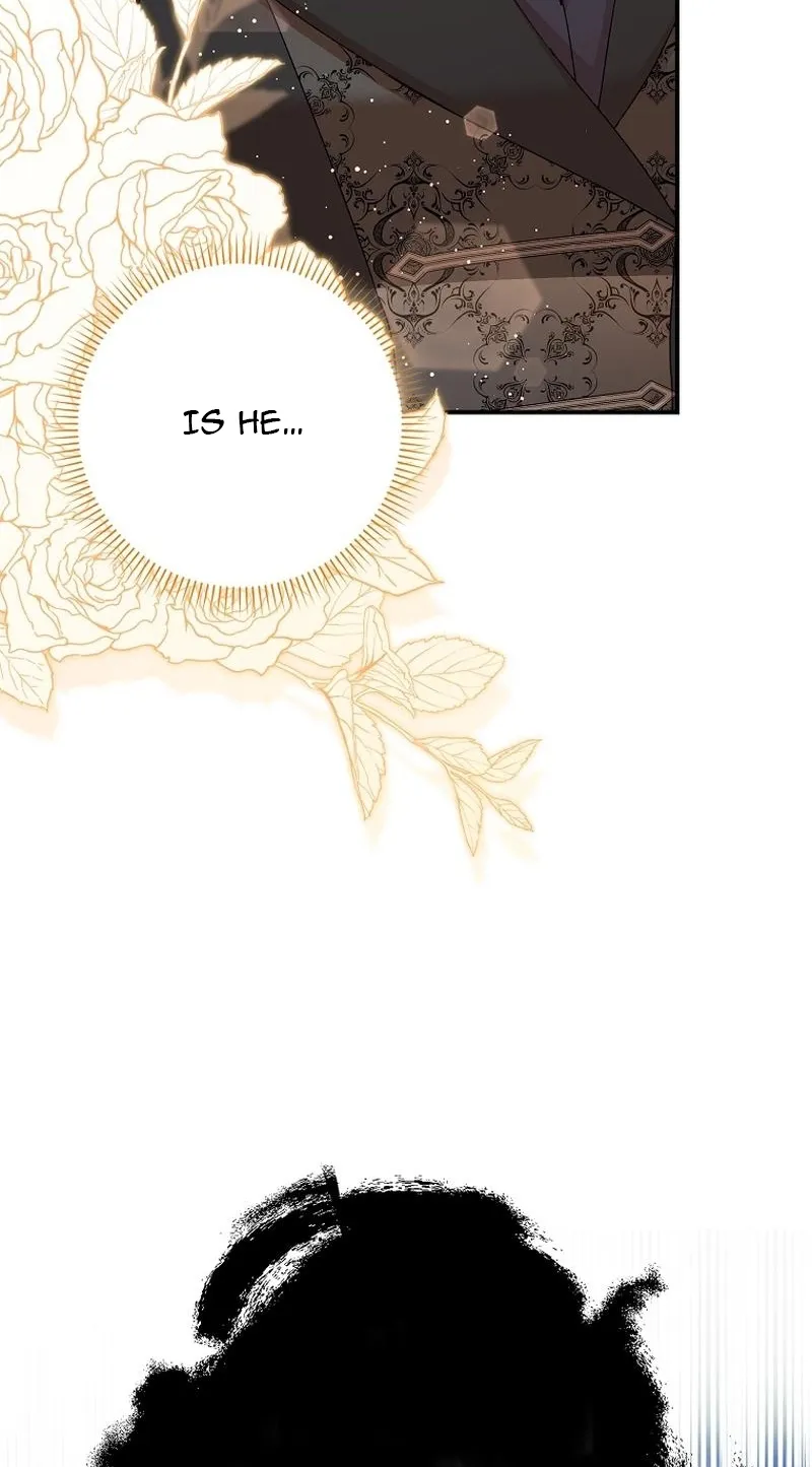 I, A Harvest Mouse, Will Take Cinderella Away Chapter 4 page 95 - 