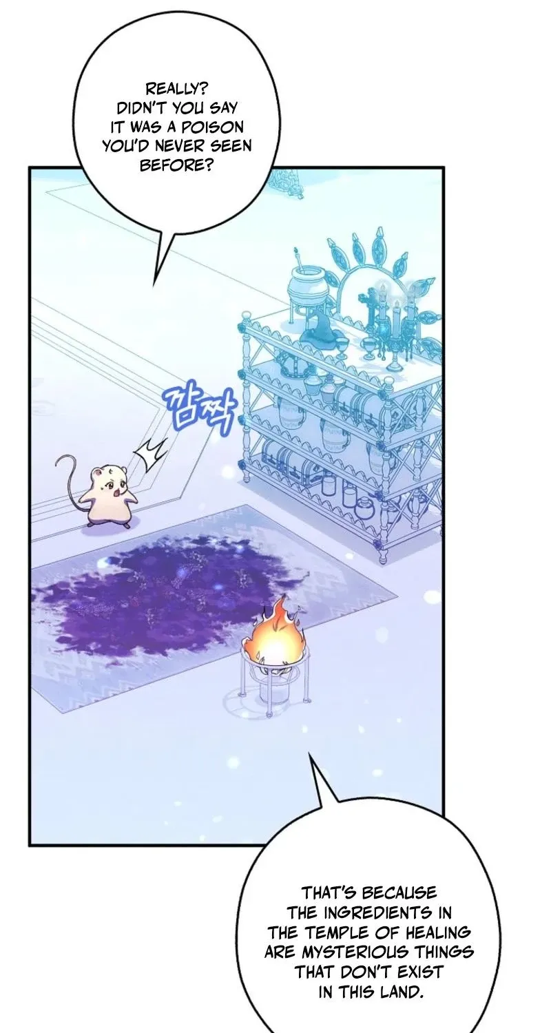 I, A Harvest Mouse, Will Take Cinderella Away Chapter 42 page 11 - 