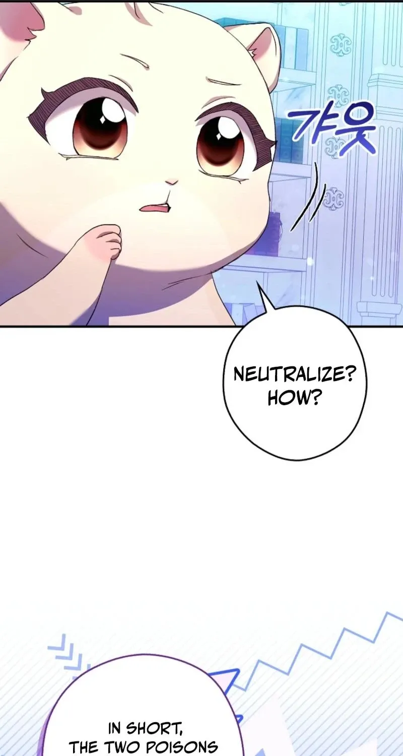 I, A Harvest Mouse, Will Take Cinderella Away Chapter 42 page 13 - 