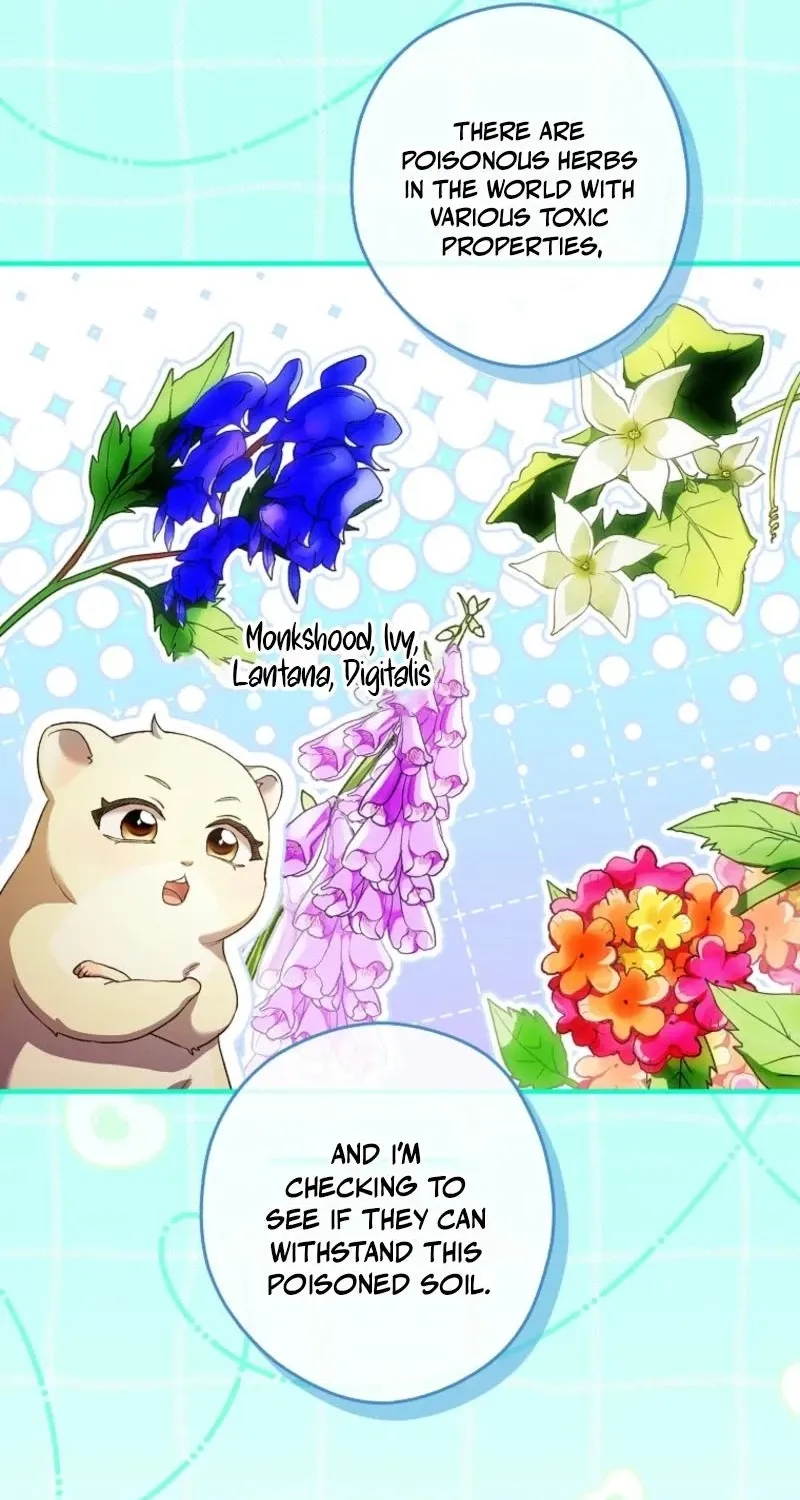I, A Harvest Mouse, Will Take Cinderella Away Chapter 42 page 7 - 