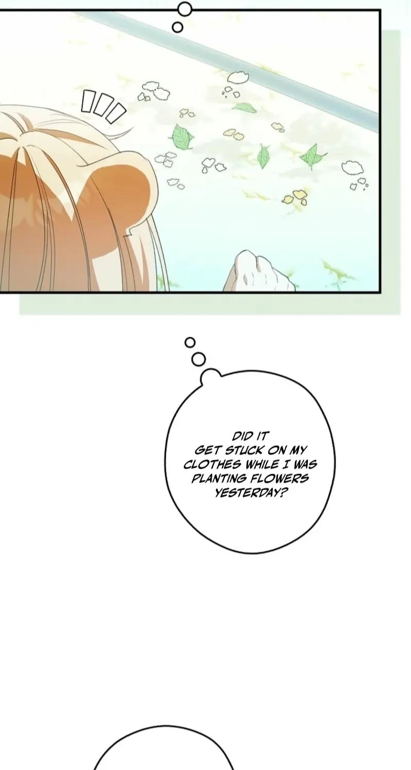 I, A Harvest Mouse, Will Take Cinderella Away Chapter 43 page 7 - 