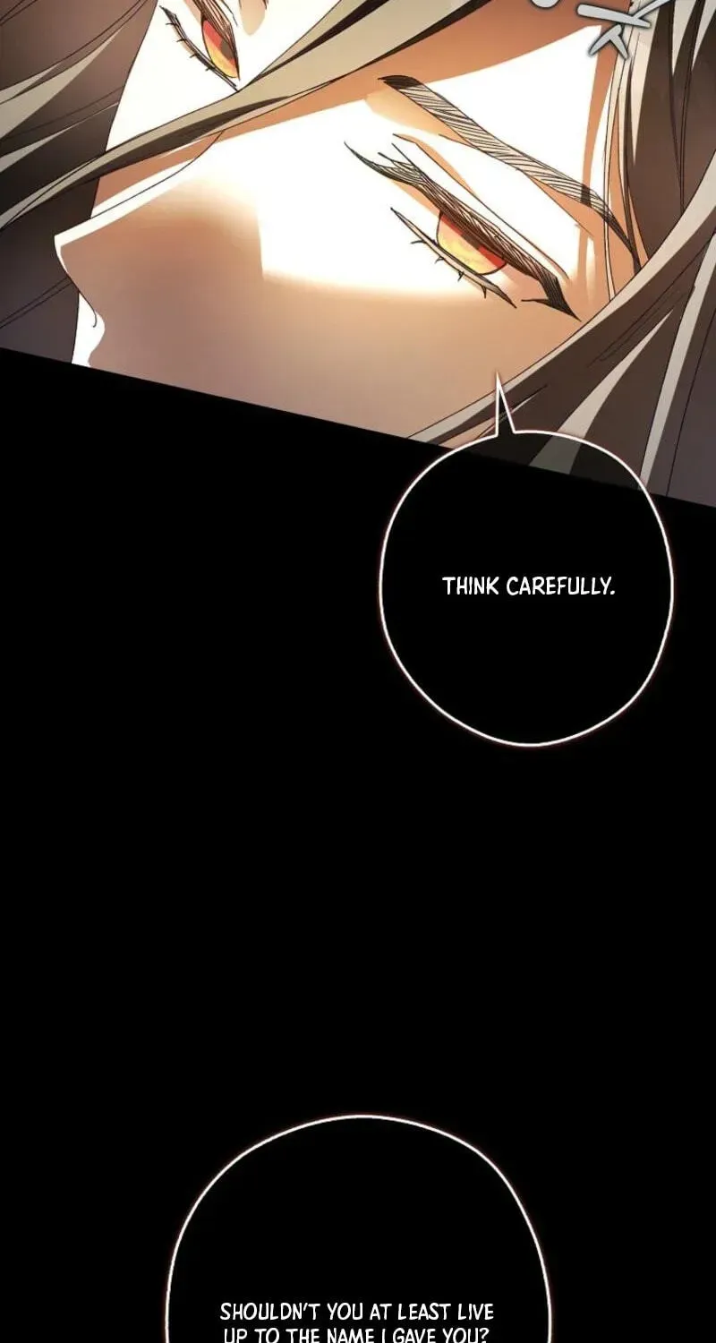 I, A Harvest Mouse, Will Take Cinderella Away Chapter 46 page 81 - 
