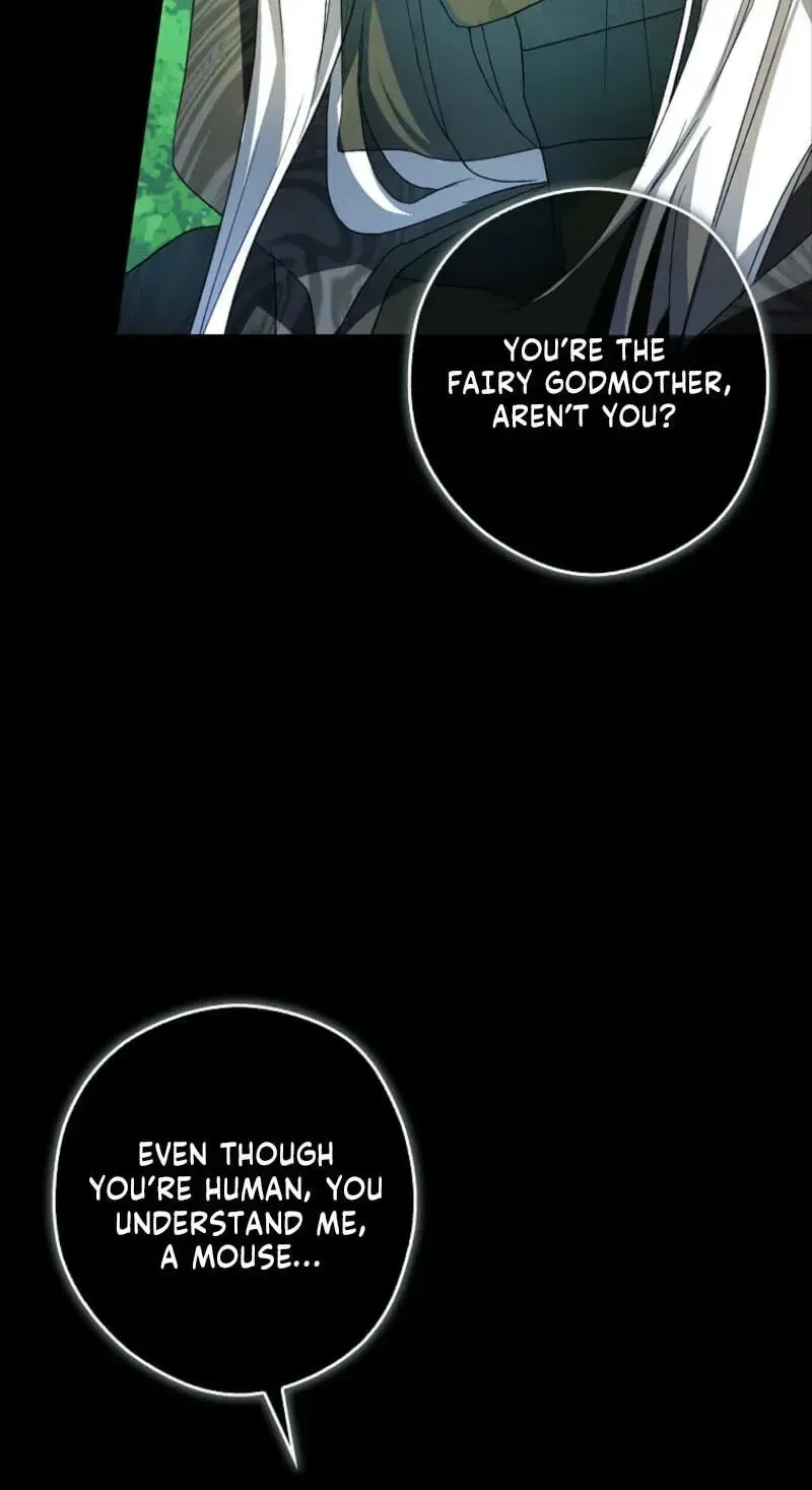 I, A Harvest Mouse, Will Take Cinderella Away Chapter 49 page 40 - 