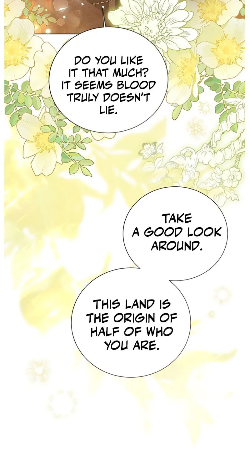 I Abdicate My Title of Empress Chapter 106 page 74 - 