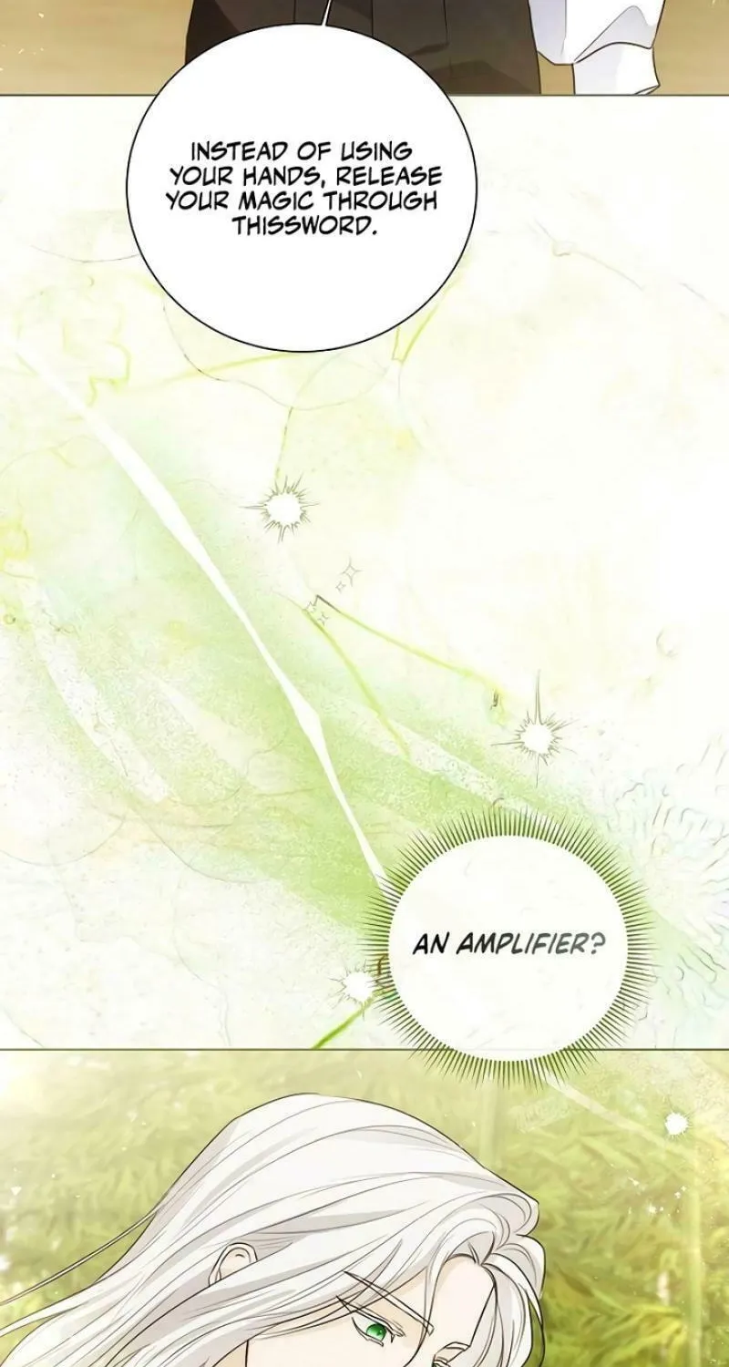 I Abdicate My Title of Empress Chapter 107 page 44 - 