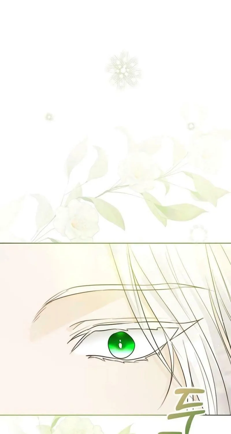 I Abdicate My Title of Empress Chapter 107 page 73 - 
