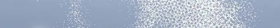 I Abdicate My Title of Empress Chapter 11 page 25 - 