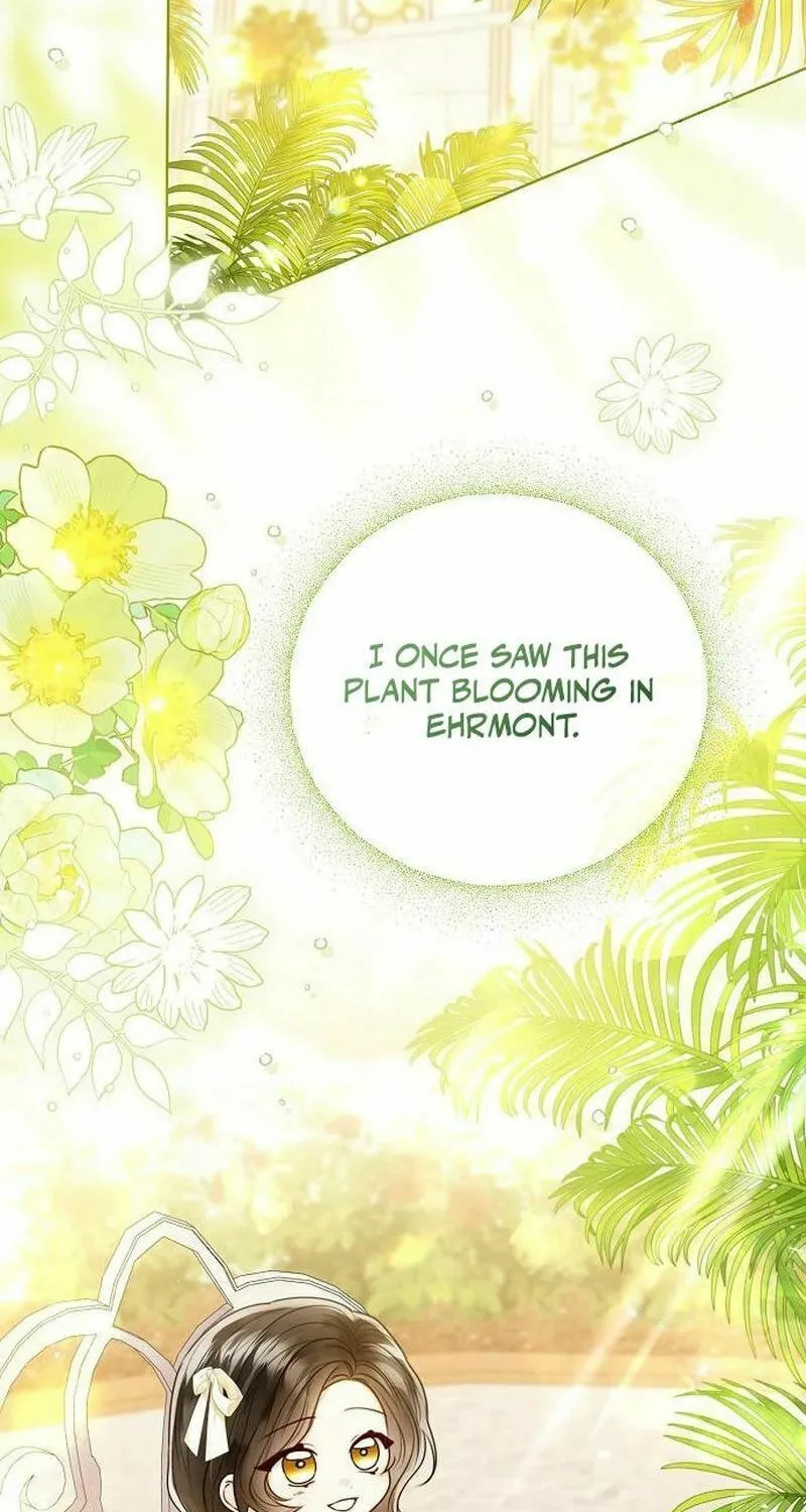 I Abdicate My Title of Empress Chapter 114 page 11 - 