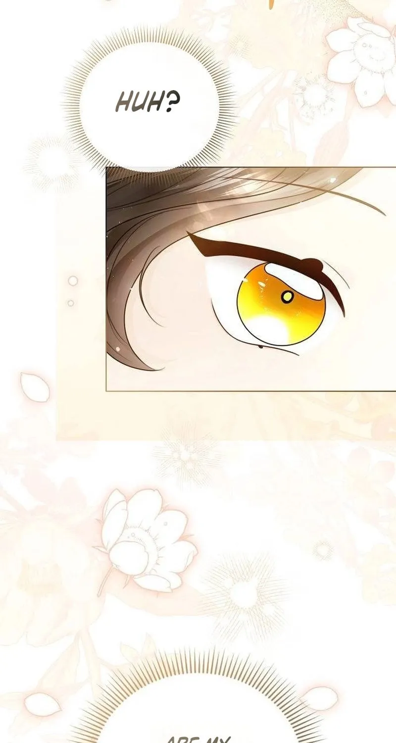 I Abdicate My Title of Empress Chapter 116 page 95 - 
