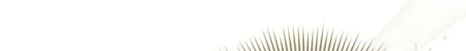 I Abdicate My Title of Empress Chapter 22 page 189 - 