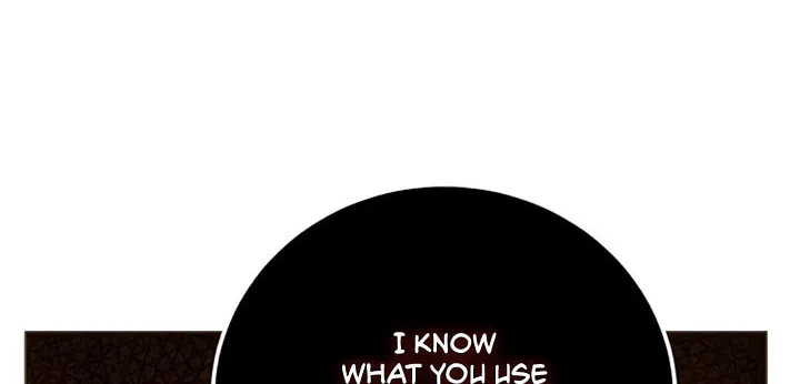 I Abdicate My Title of Empress Chapter 27 page 43 - 