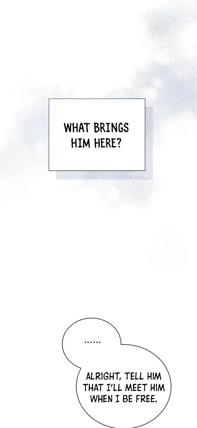 I Abdicate My Title of Empress Chapter 33 page 9 - 