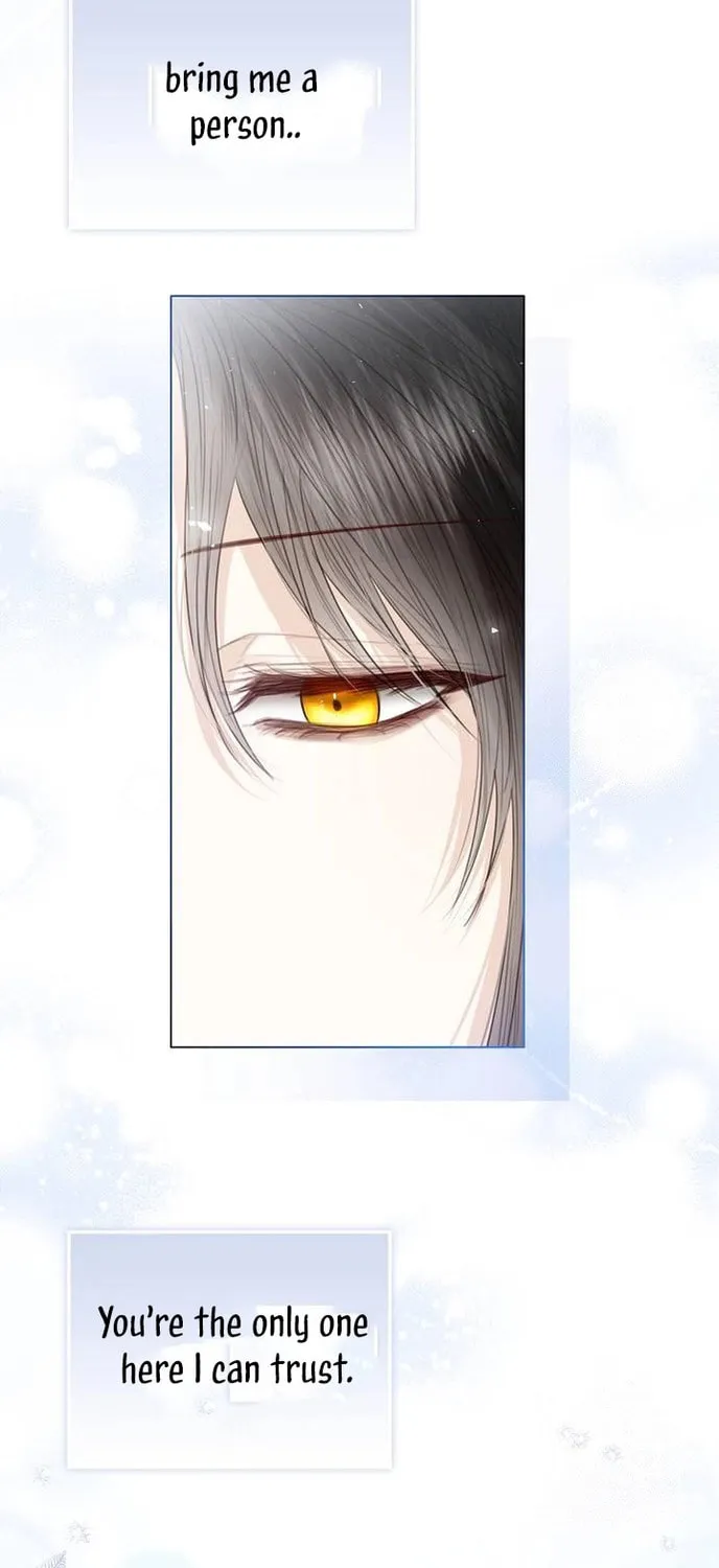 I Abdicate My Title of Empress Chapter 35 page 26 - 
