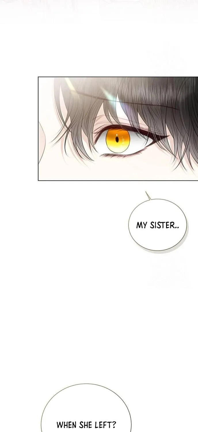 I Abdicate My Title of Empress Chapter 37 page 33 - 