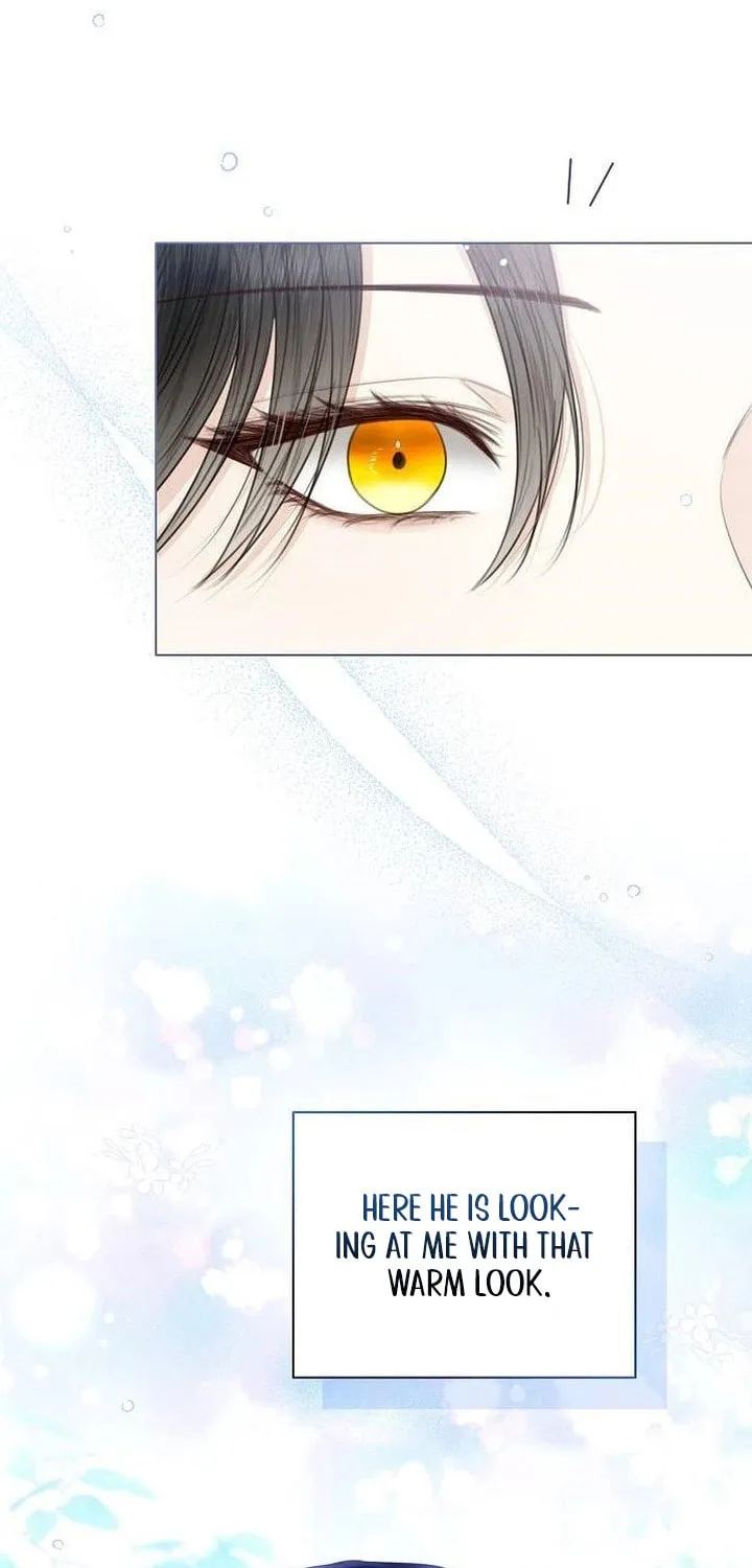 I Abdicate My Title of Empress Chapter 39 page 17 - 