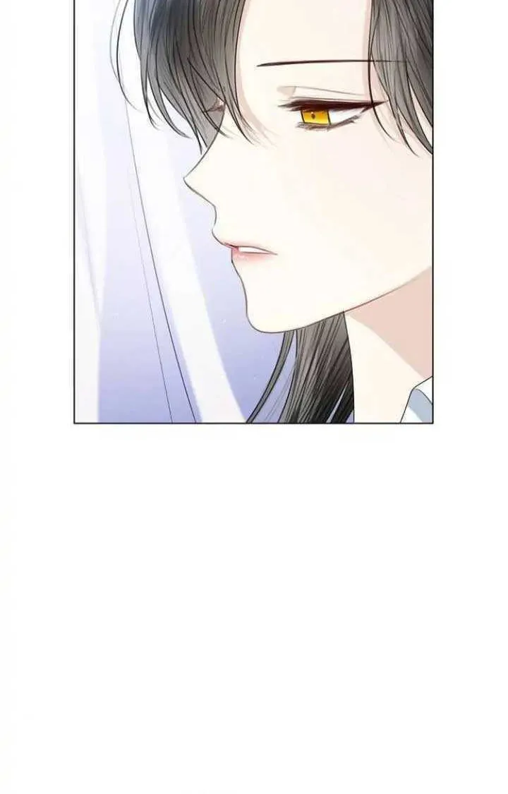 I Abdicate My Title of Empress Chapter 44 page 31 - 