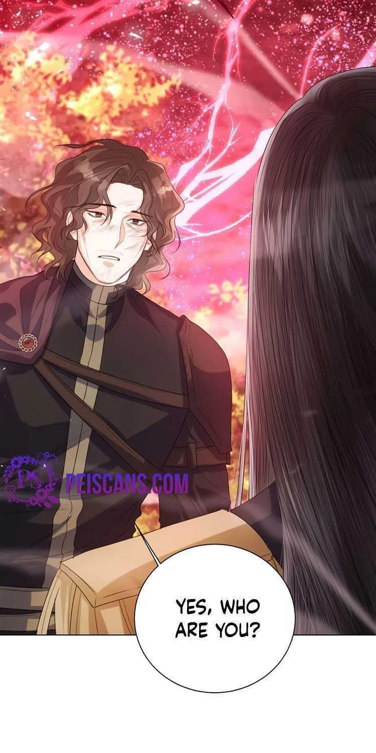 I Abdicate My Title of Empress Chapter 45 page 2 - 
