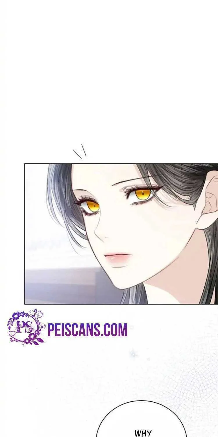 I Abdicate My Title of Empress Chapter 48 page 19 - 