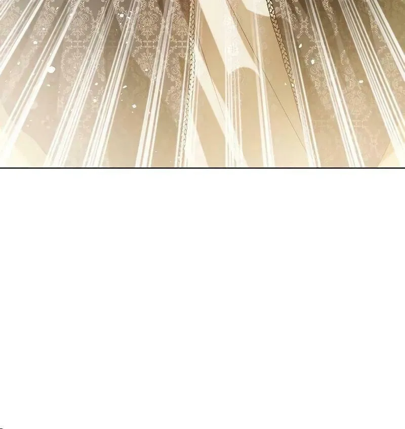 I Abdicate My Title of Empress Chapter 88 page 11 - 