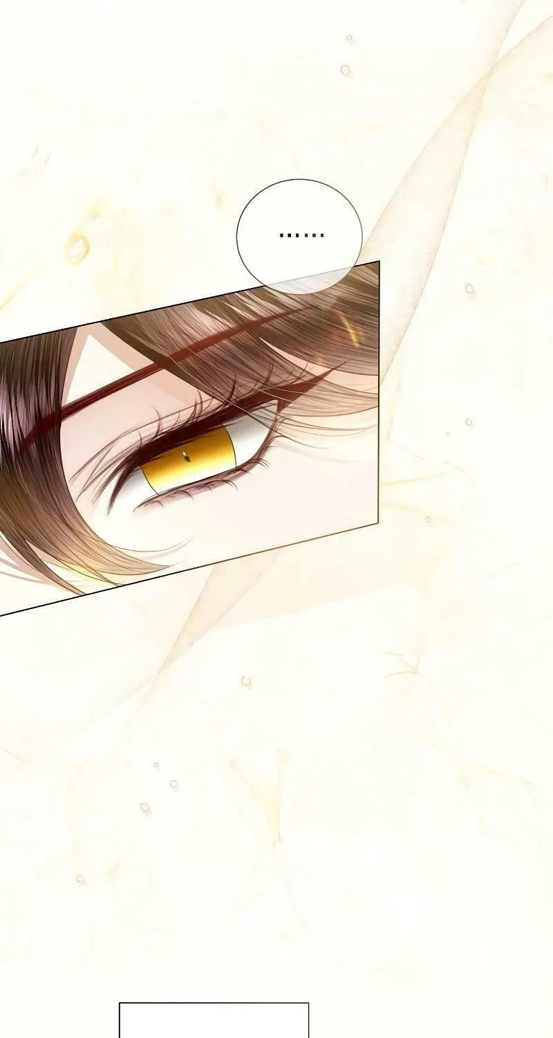 I Abdicate My Title of Empress Chapter 88 page 43 - 