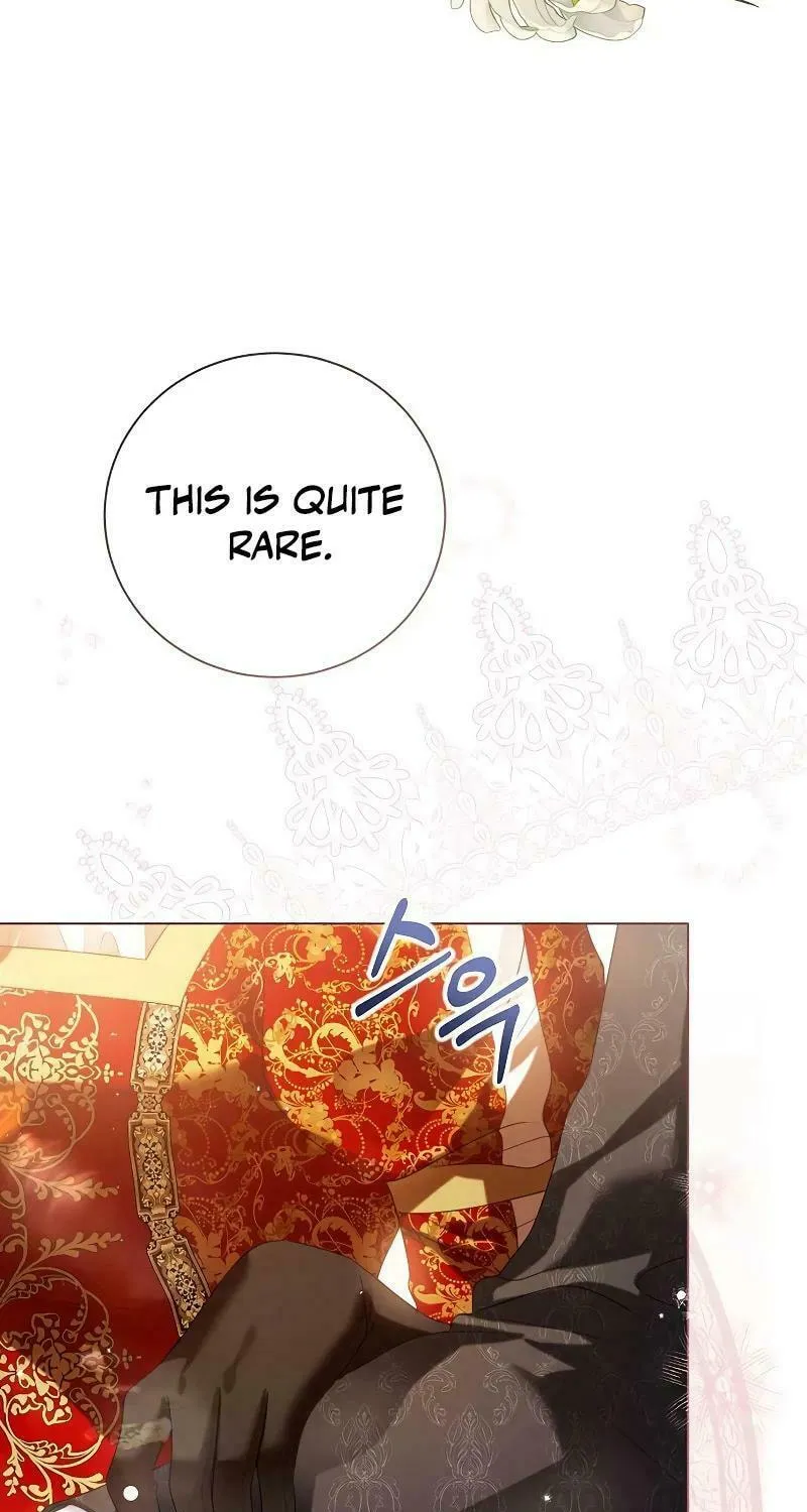 I Abdicate My Title of Empress Chapter 90 page 85 - 