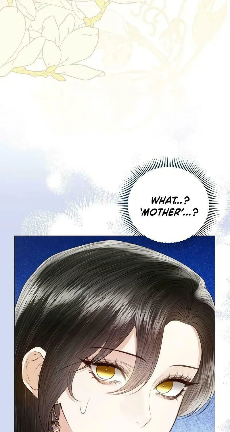 I Abdicate My Title of Empress Chapter 91 page 19 - 