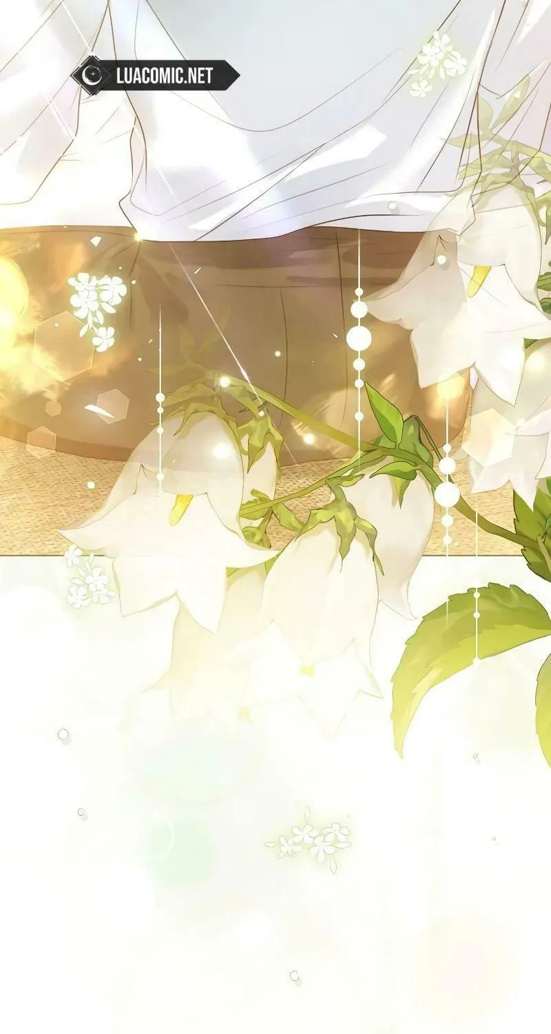 I Abdicate My Title of Empress Chapter 98 page 98 - 