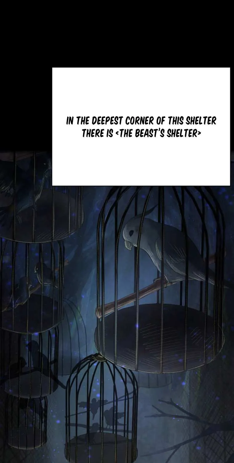 I Adopted a Male Lead From a Prison Shelter Chapter 1 page 11 - 