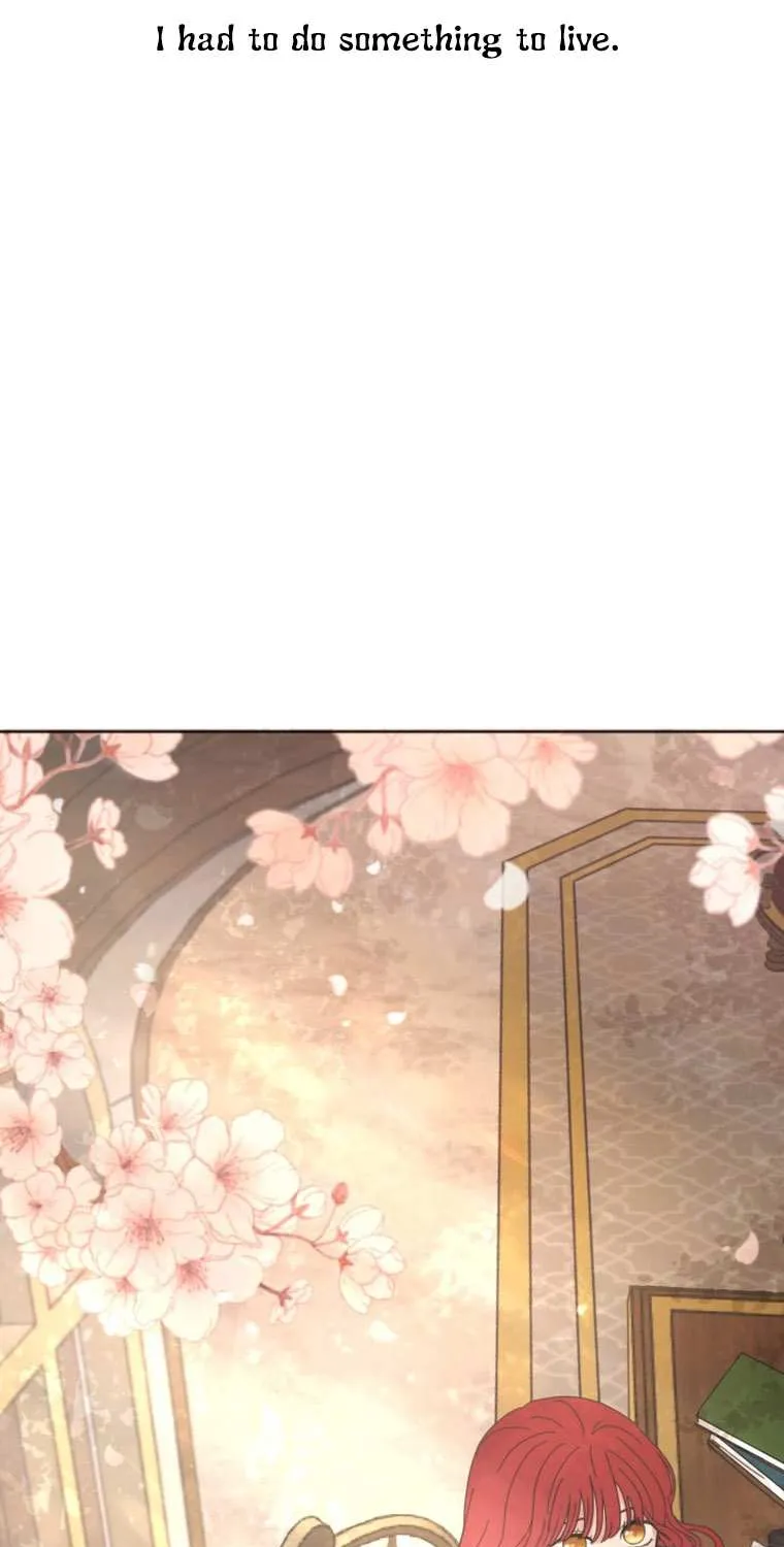 I Adopted a Male Lead From a Prison Shelter Chapter 1 page 5 - 