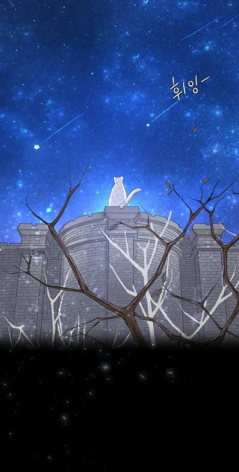 I Adopted a Male Lead From a Prison Shelter Chapter 11 page 5 - 