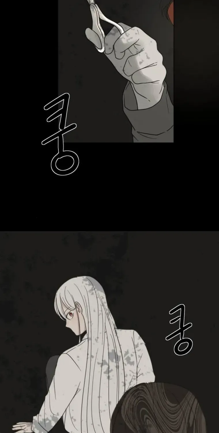 I Adopted a Male Lead From a Prison Shelter Chapter 11 page 64 - 